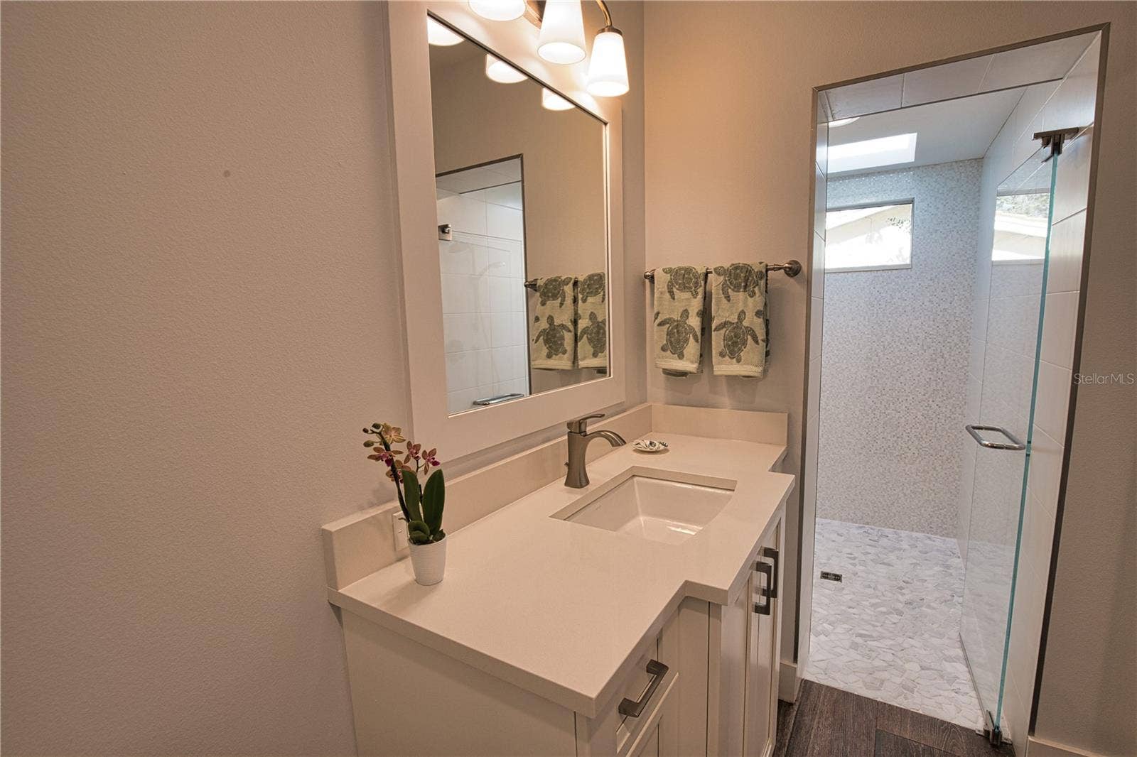 Sarasota, FL 34242 Guest Bath with Sky Light