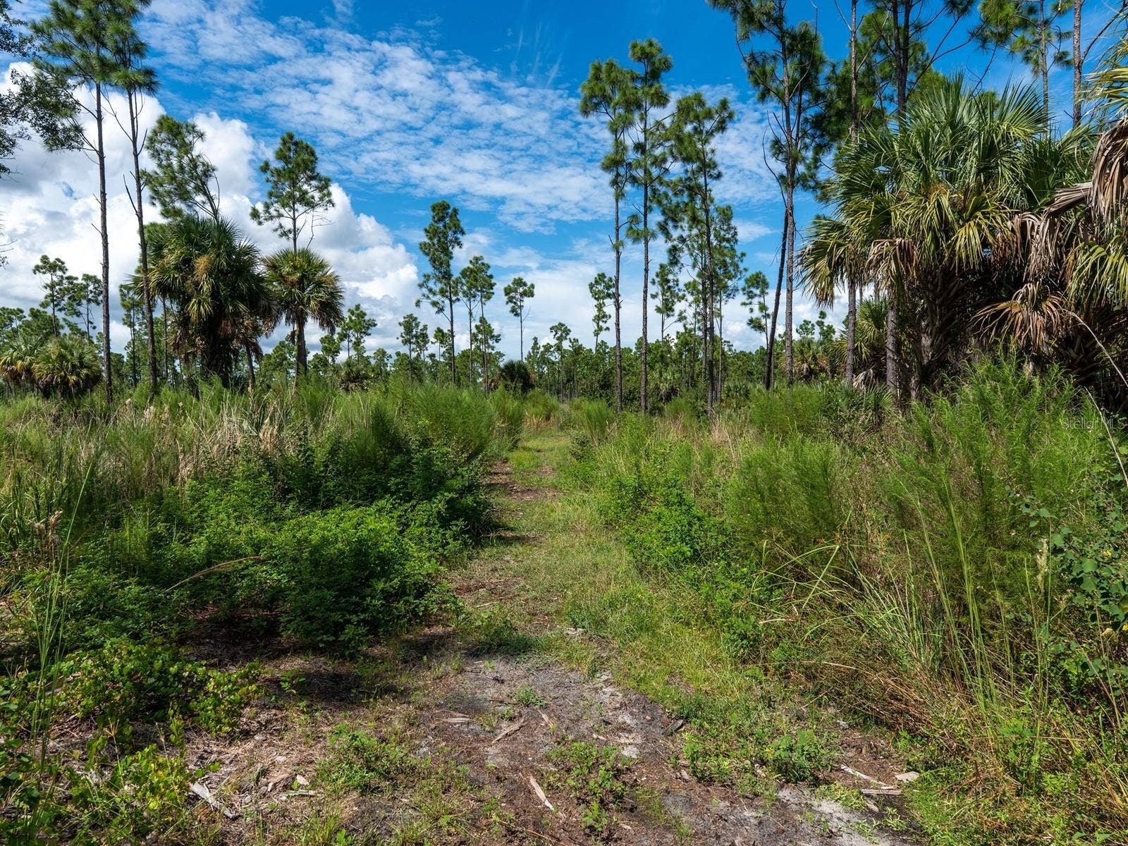 11362 WILLMINGTON BOULEVARD, Port Charlotte, FL 33981