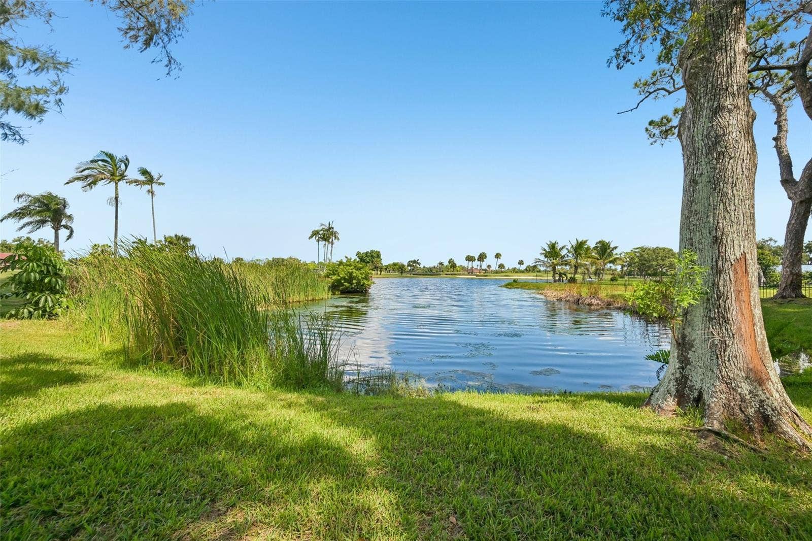 5060 18TH AVENUE W, Bradenton, FL 34209 Golf course water feature view from back yard.