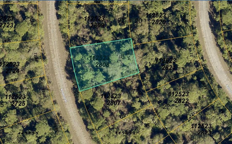 Property photo for 1125232808 BREADNUT STREET, North Port, FL