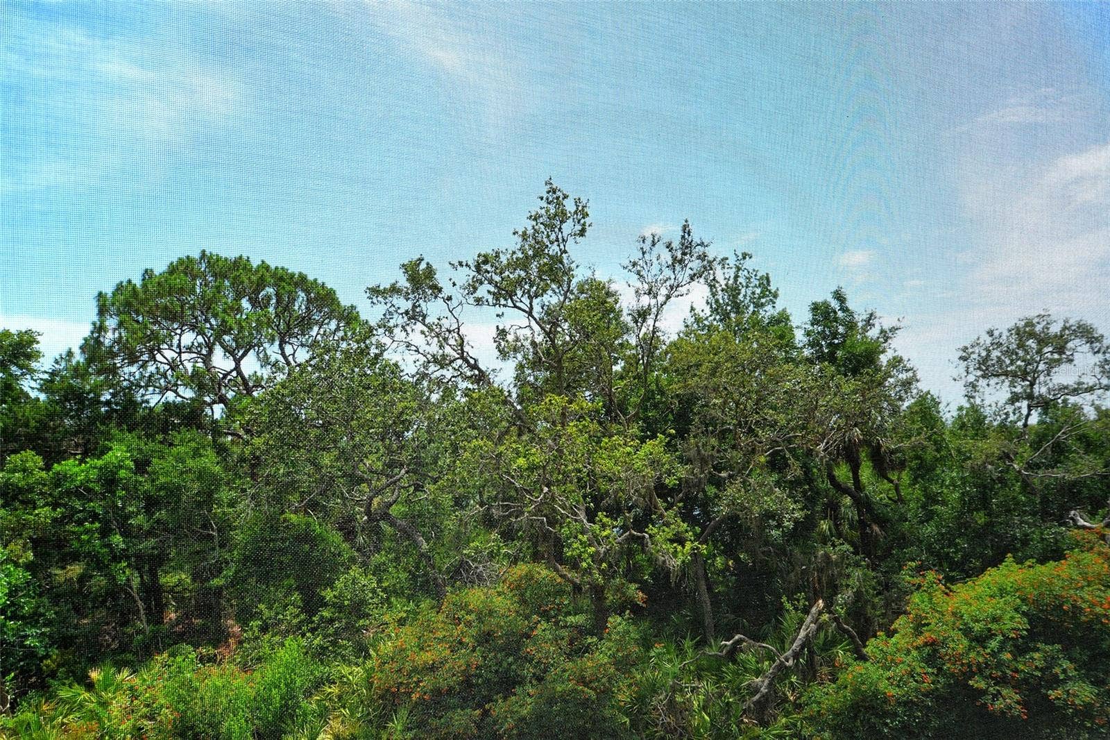 401 N POINT ROAD, #404, Osprey, FL 34229 401 N POINT ROAD, #404, Osprey, FL 34229