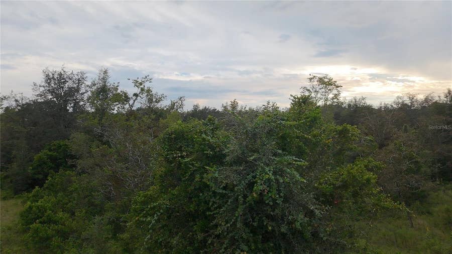 Property photo for 7388 N MANVILLE ROAD, Citrus Springs, FL
