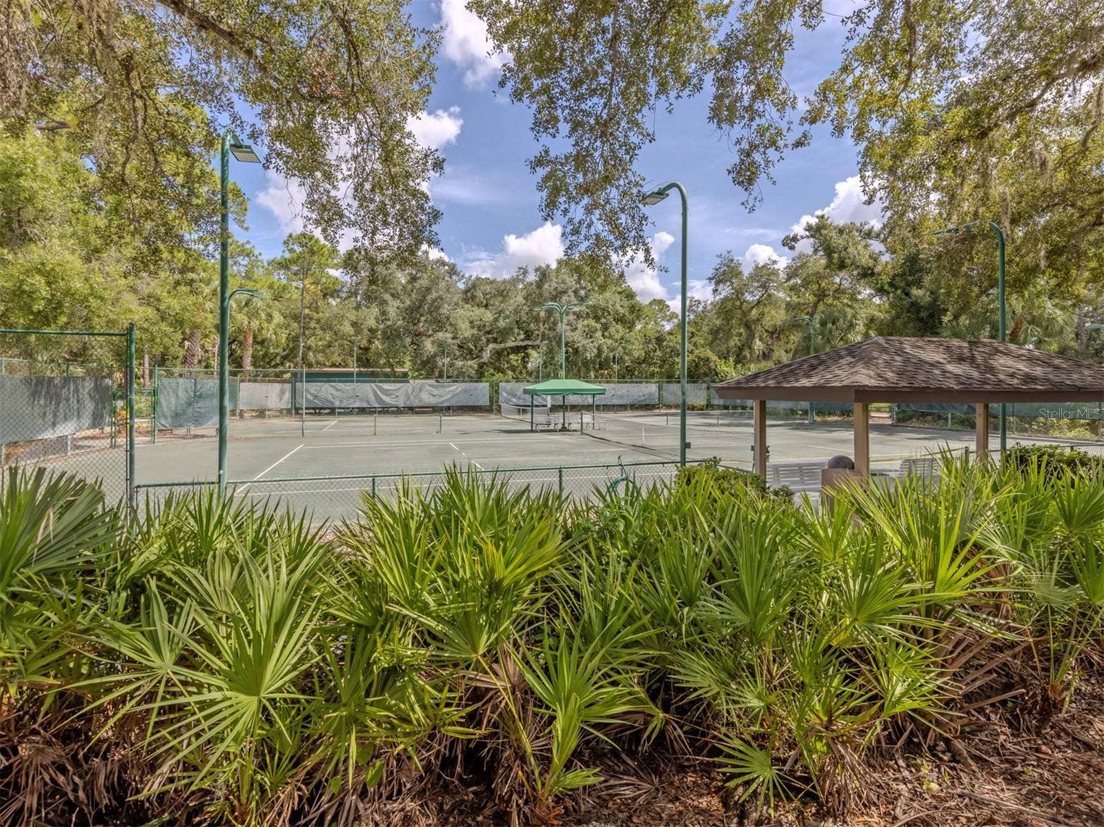The Meadows Tennis Courts