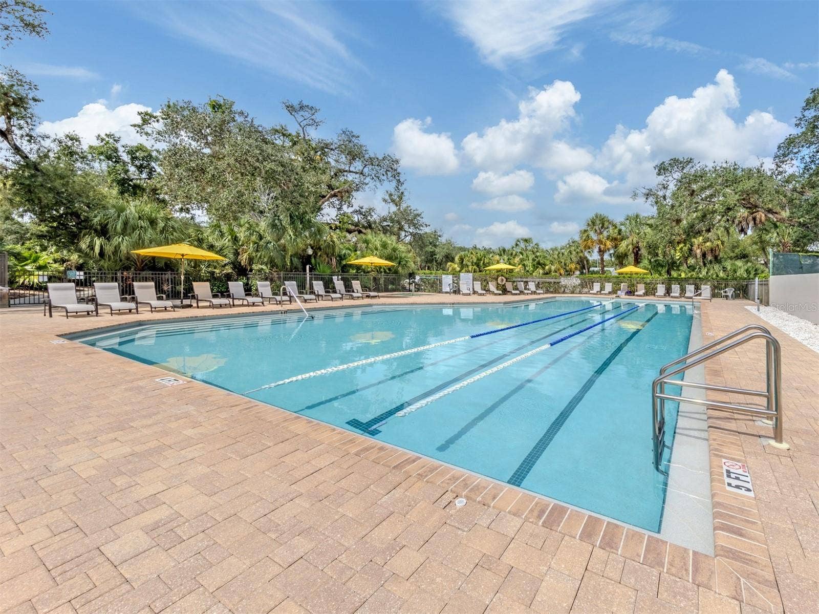 The Meadows Pool