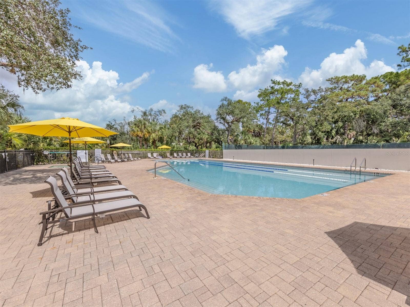 The Meadows Pool