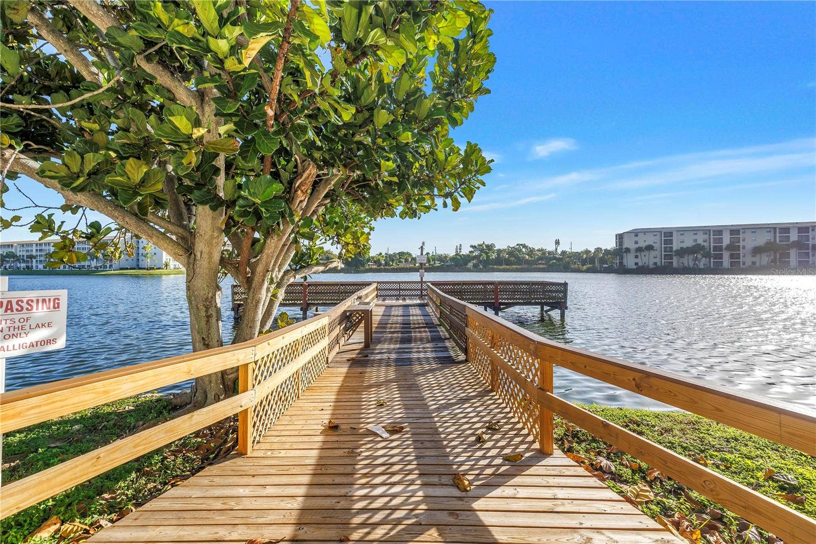 4137 HERON WAY, #204, Bradenton, FL 34205 4137 HERON WAY, #204, Bradenton, FL 34205