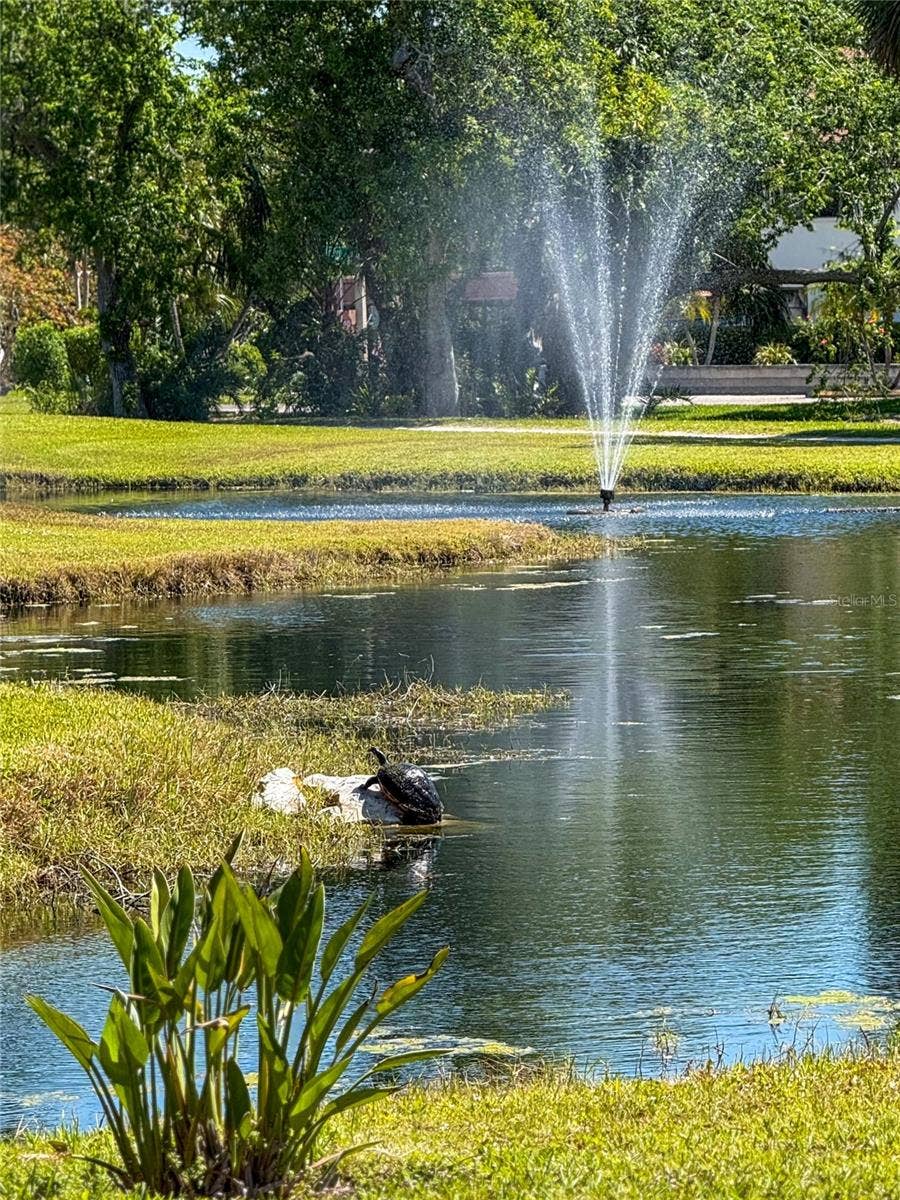4640 RED MAPLE ROAD, #1208, Bradenton, FL 34210 4640 RED MAPLE ROAD, #1208, Bradenton, FL 34210