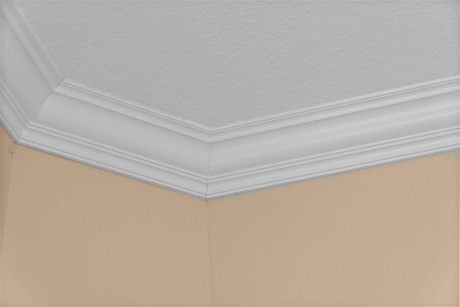 8432 MIRAMAR WAY, Lakewood Ranch, FL 34202 Beautiful crown molding highlights the high ceilings and attention to detail.