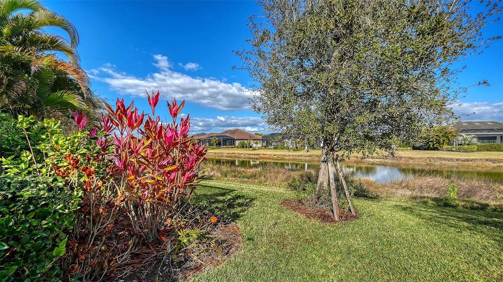 12028 LEGACY ESTATES BOULEVARD, Sarasota, FL 34238 Yard facing Northwest