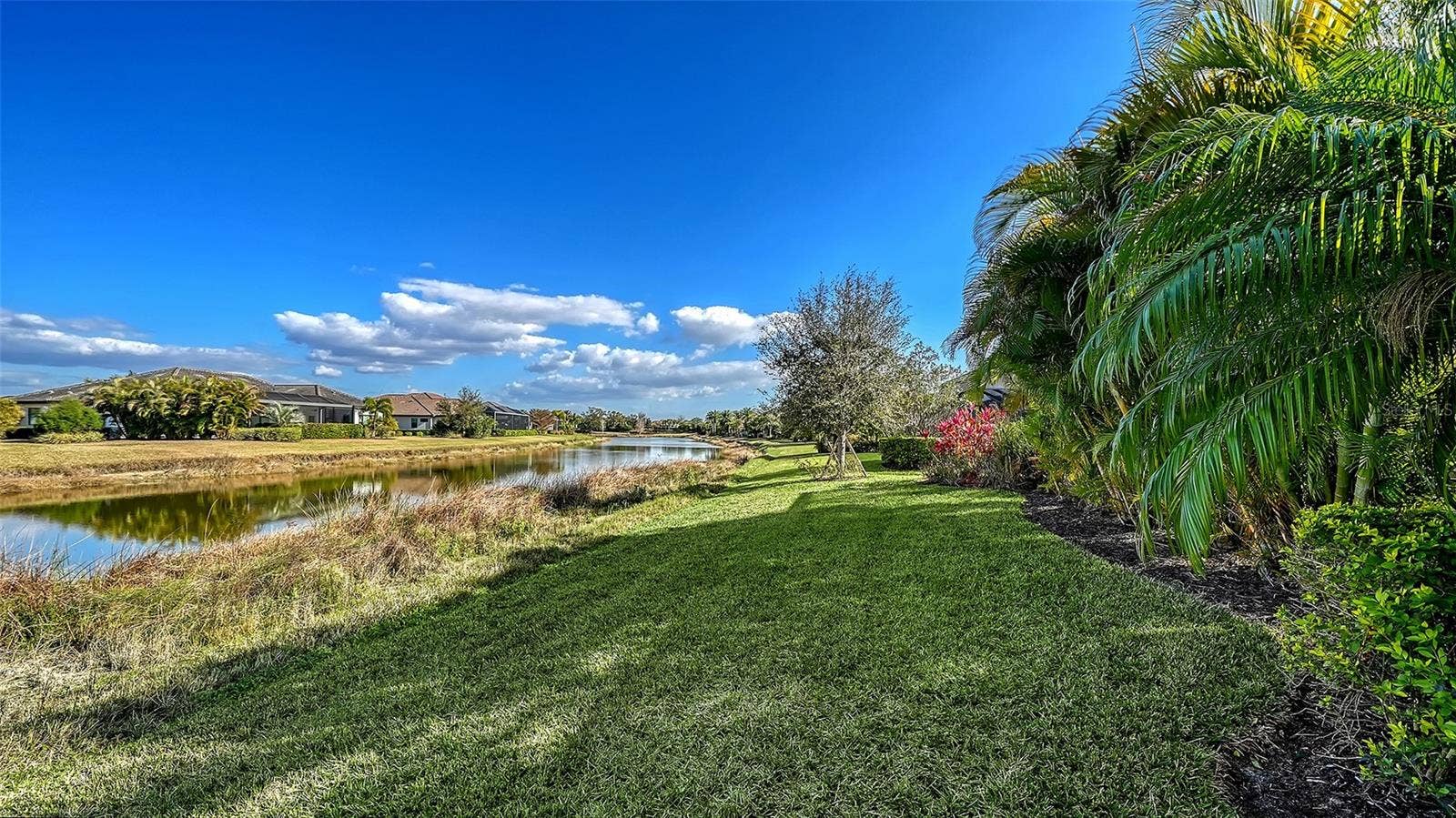 12028 LEGACY ESTATES BOULEVARD, Sarasota, FL 34238 Yard facing East