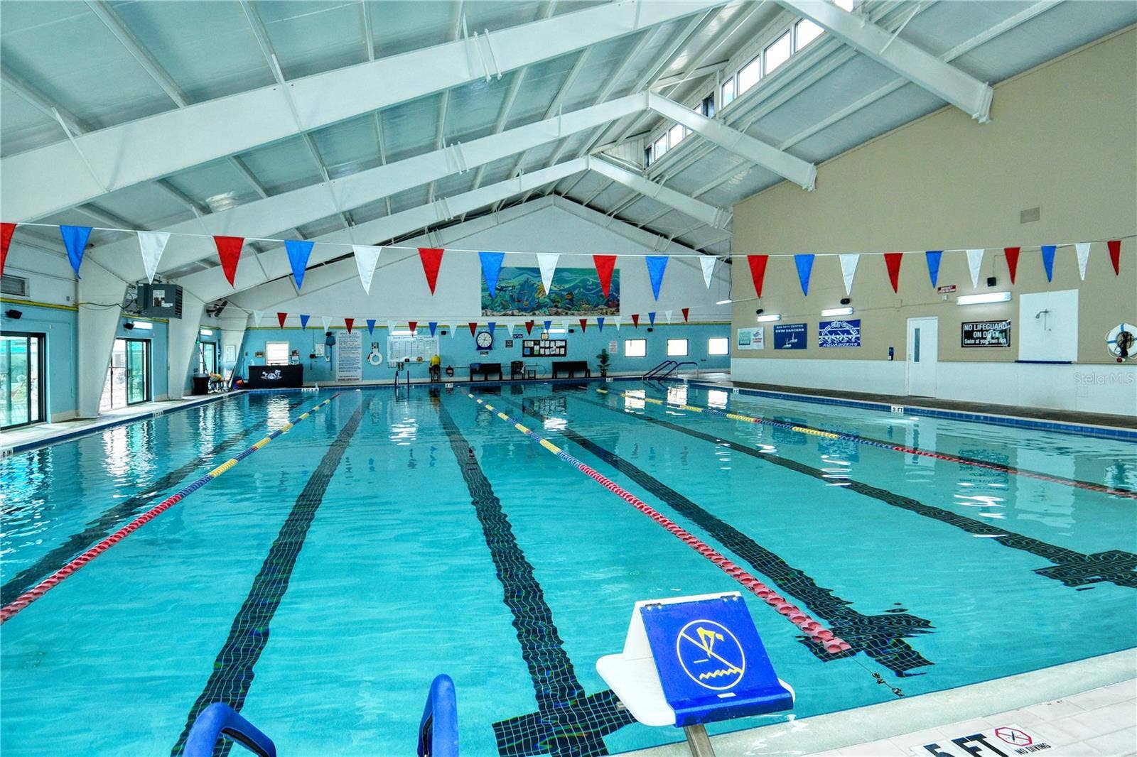 1604 ALEXANDER CROSSING WAY, Sun City Center, FL 33573 Lap Pool