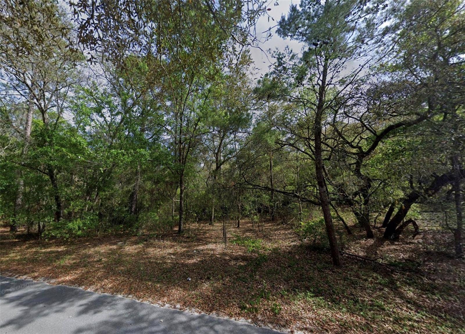 139 SILVER BEACH BOULEVARD, Pomona Park, FL 32181