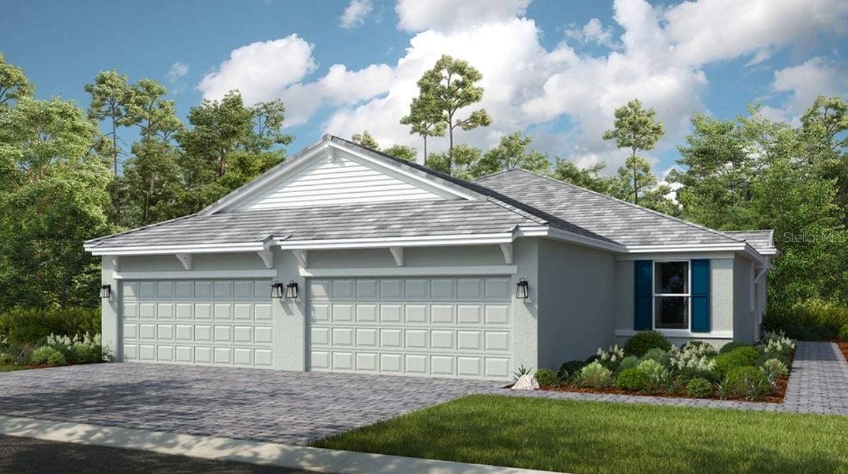 Ibis Rendering