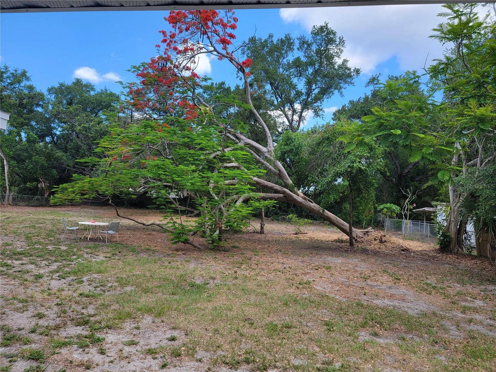 2117 3RD AVENUE E, Bradenton, FL 34208 backyard view 2