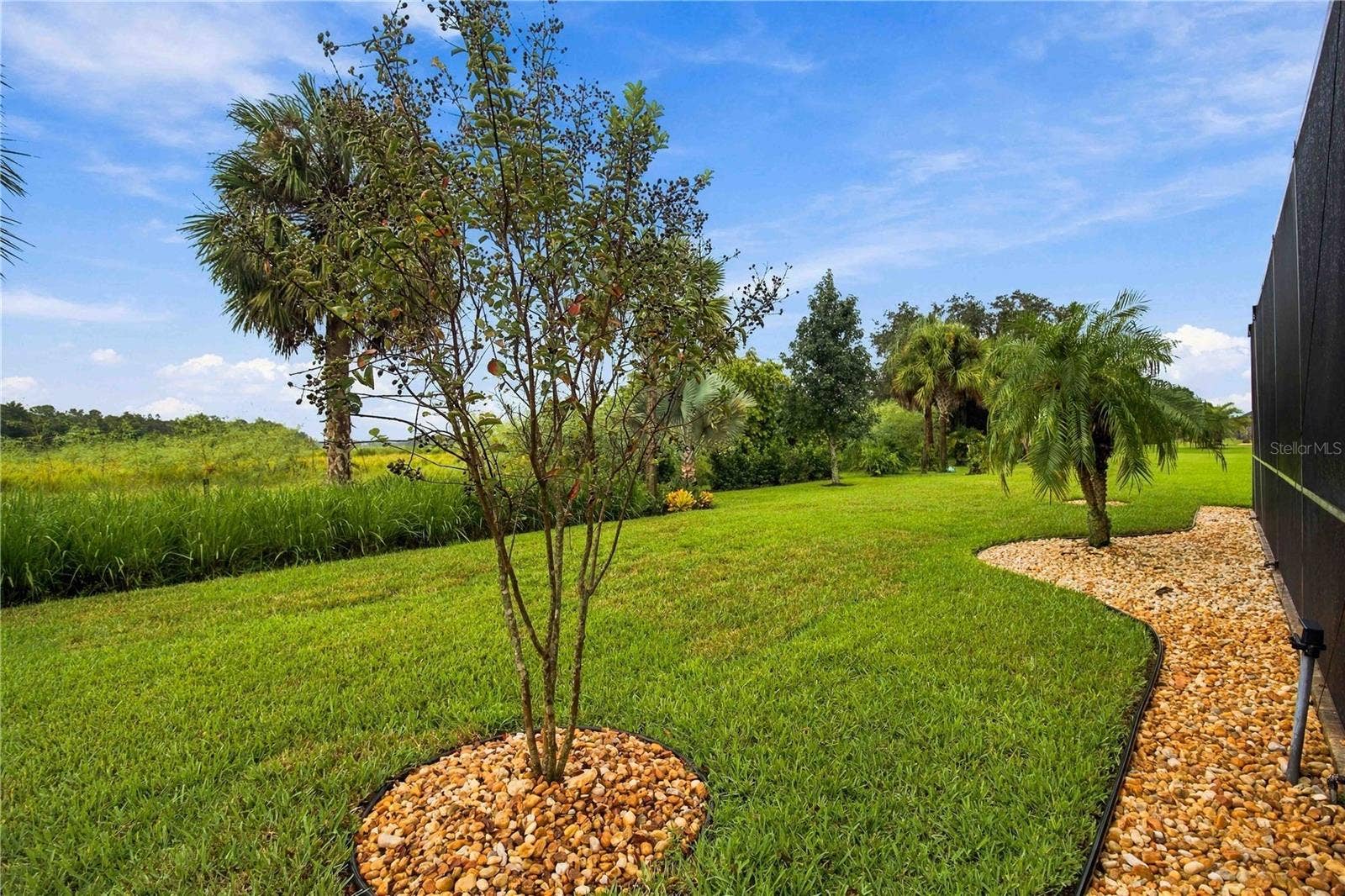 Well-Manicured Backyard