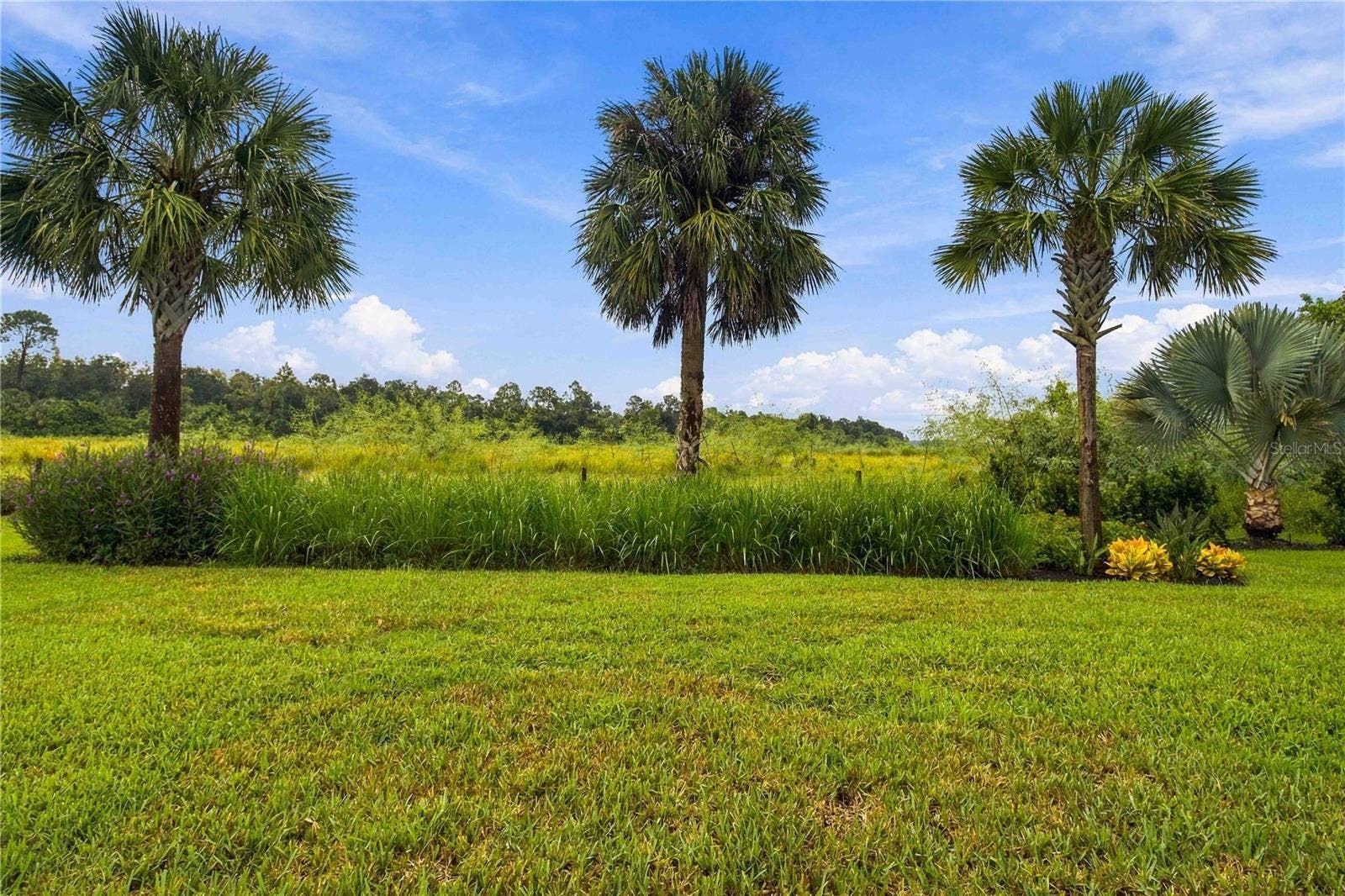 Nature-Filled Preserve Views