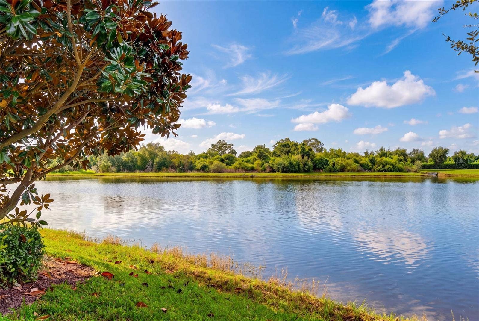 12326 BLUE HILL TRAIL, Bradenton, FL 34211 12326 BLUE HILL TRAIL, Bradenton, FL 34211