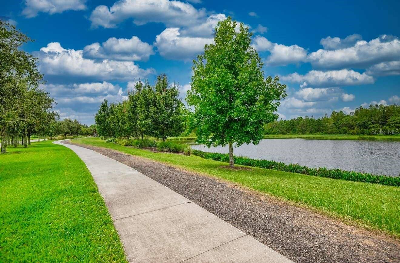 3488 PINE RIBBON DRIVE, Land O Lakes, FL 34638