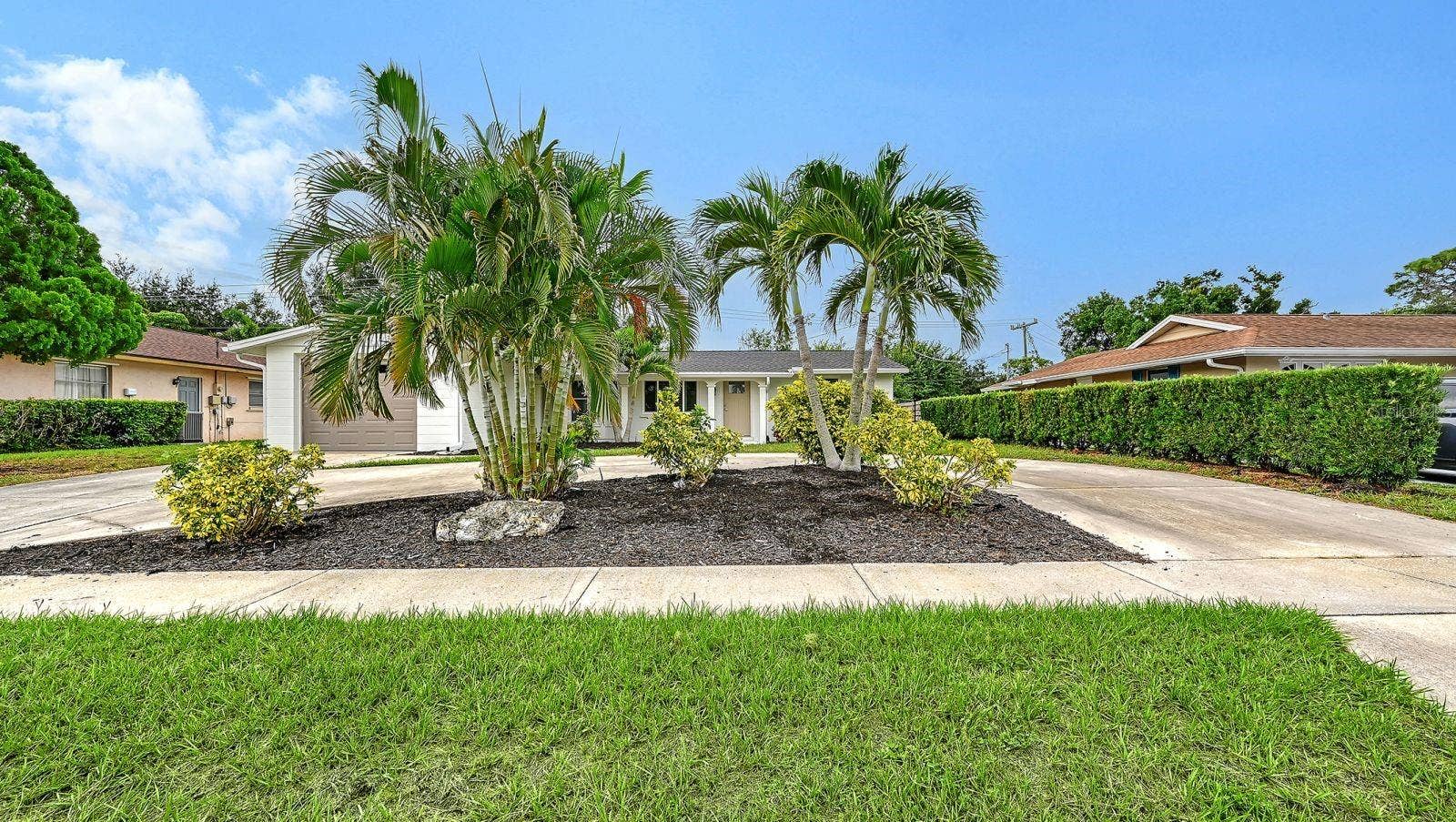 Beautiful Landscaping with nice Palm Trees