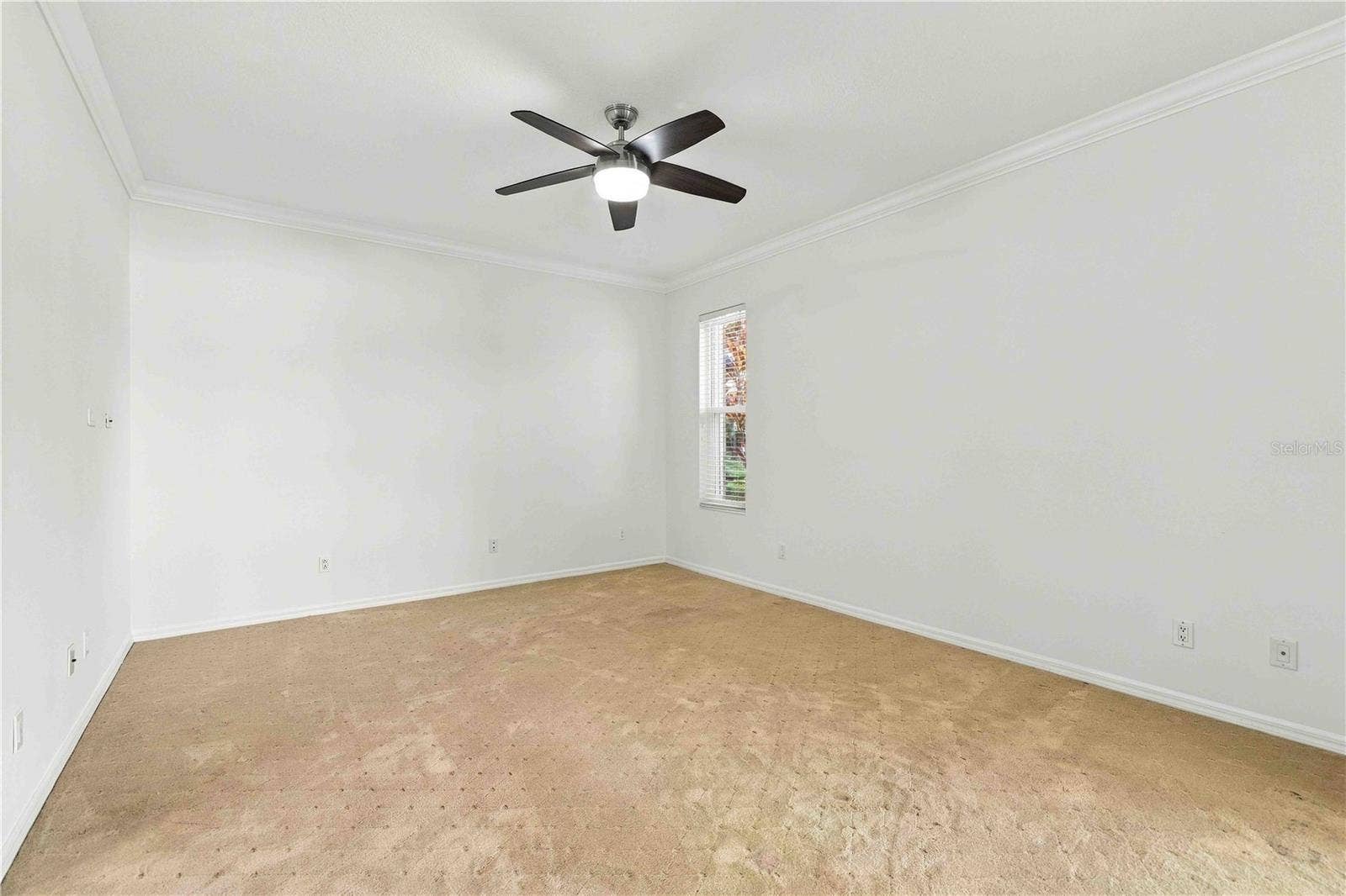 8216 ASHFORD FALLS COURT, Sarasota, FL 34243 Primary