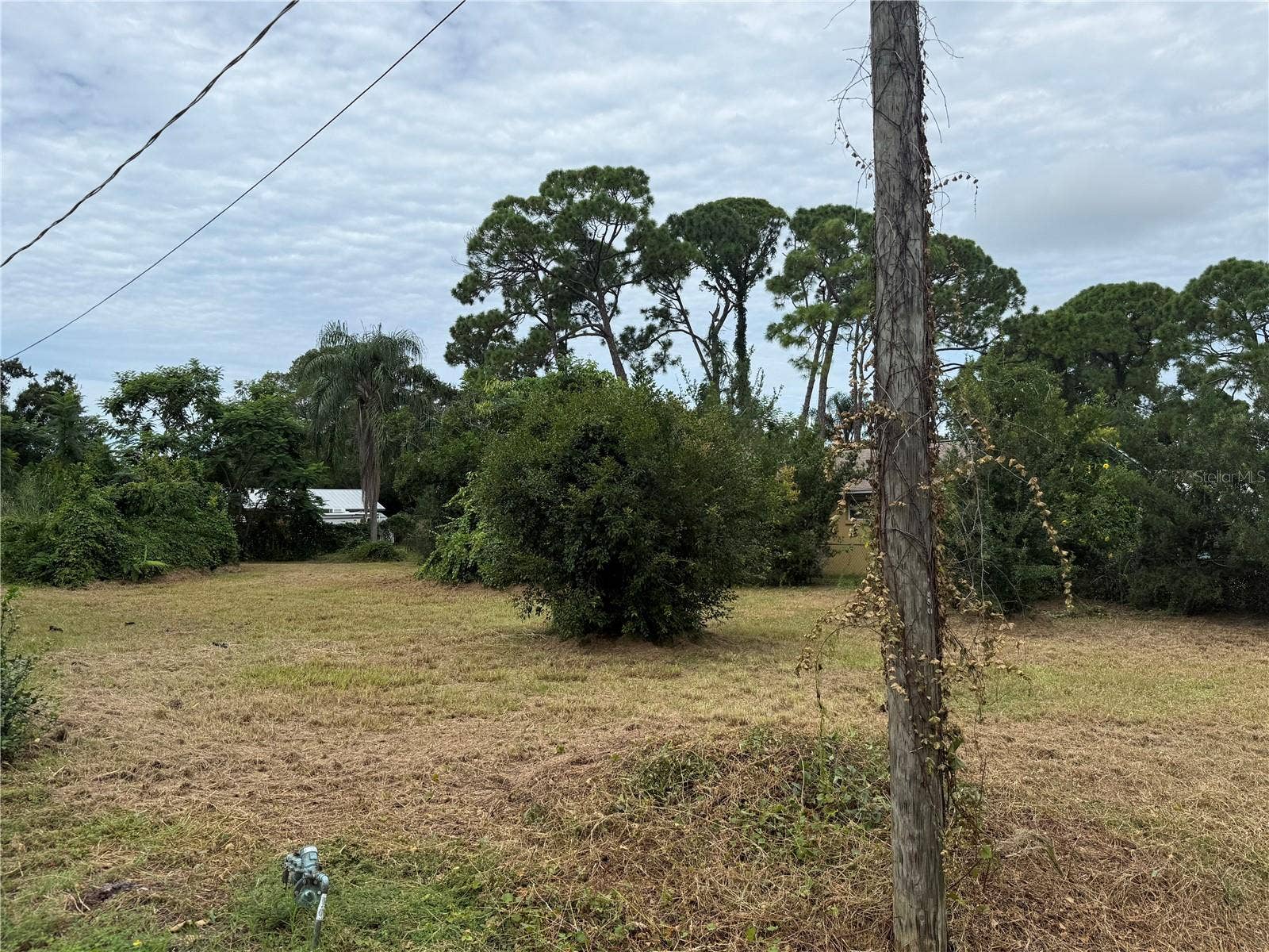 MURDOCK AVENUE, Sarasota, FL 34231