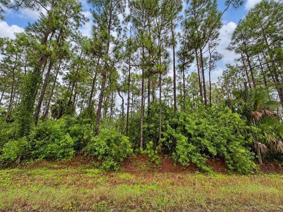 Property photo for 6TH AVENUE NE, Naples, FL