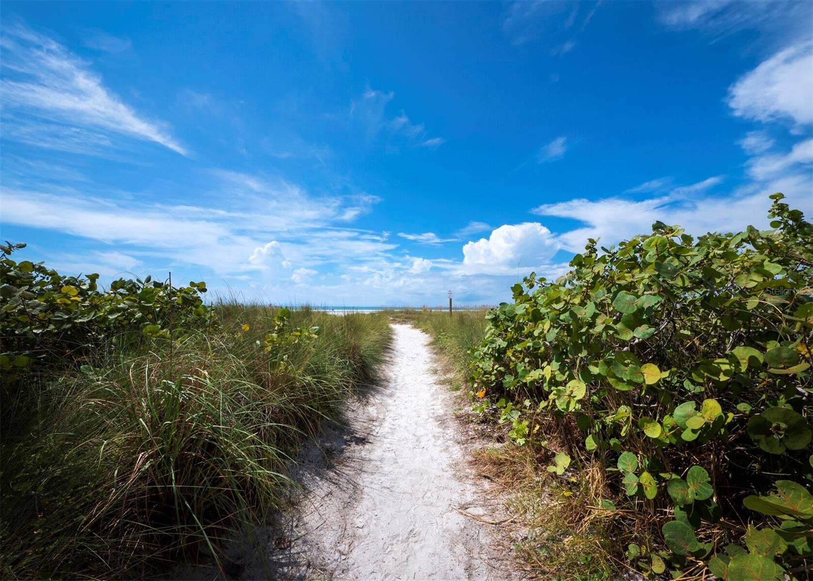 475 BENJAMIN FRANKLIN DRIVE, #215, Sarasota, FL 34236