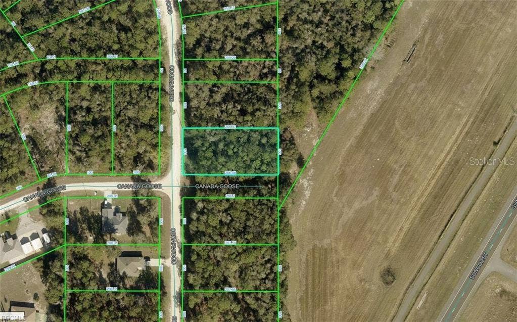 R01-221-17-3357-5520-0170 CEDARWOOD AVENUE, Weeki Wachee, FL 34614