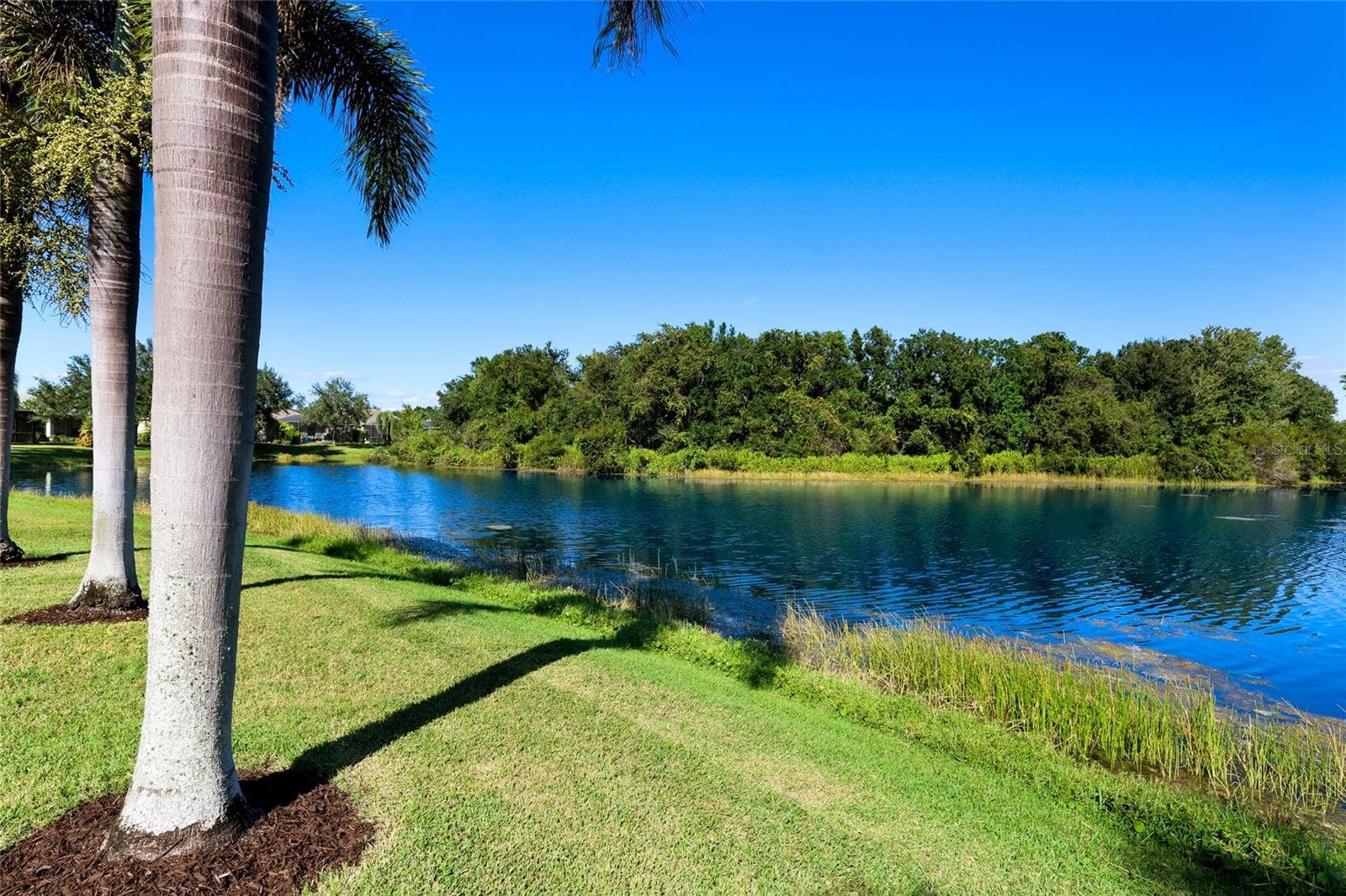 11212 WHITE ROCK TERRACE, Bradenton, FL 34211 11212 WHITE ROCK TERRACE, Bradenton, FL 34211