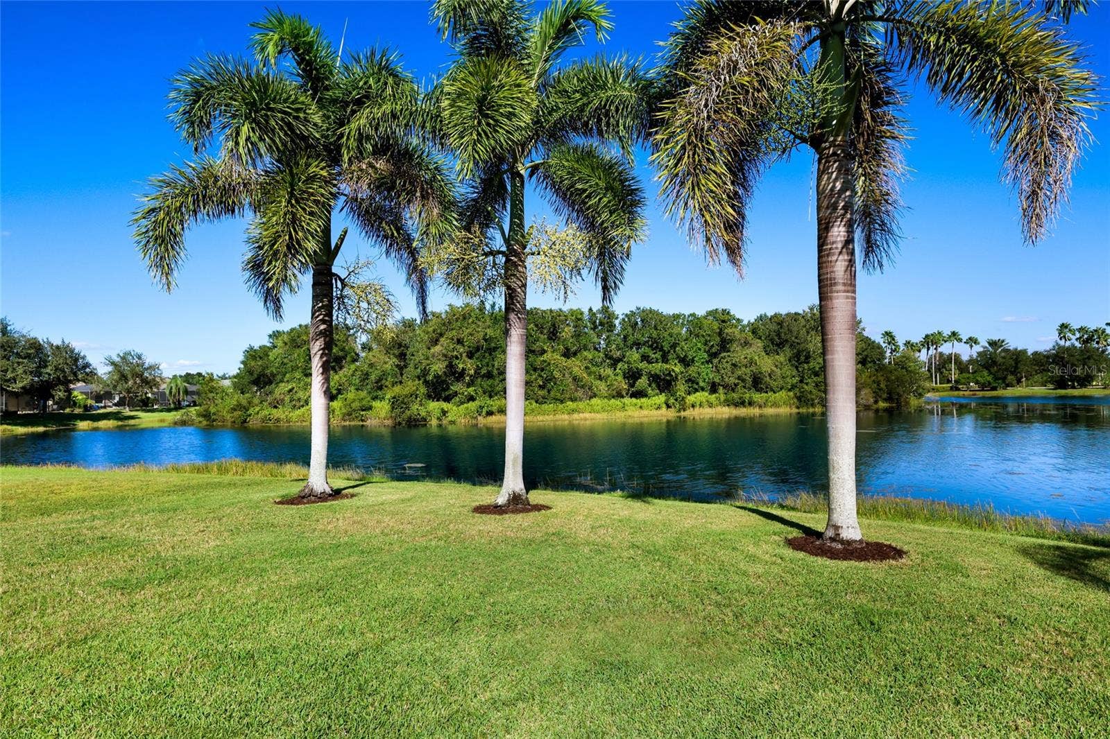 11212 WHITE ROCK TERRACE, Bradenton, FL 34211 11212 WHITE ROCK TERRACE, Bradenton, FL 34211
