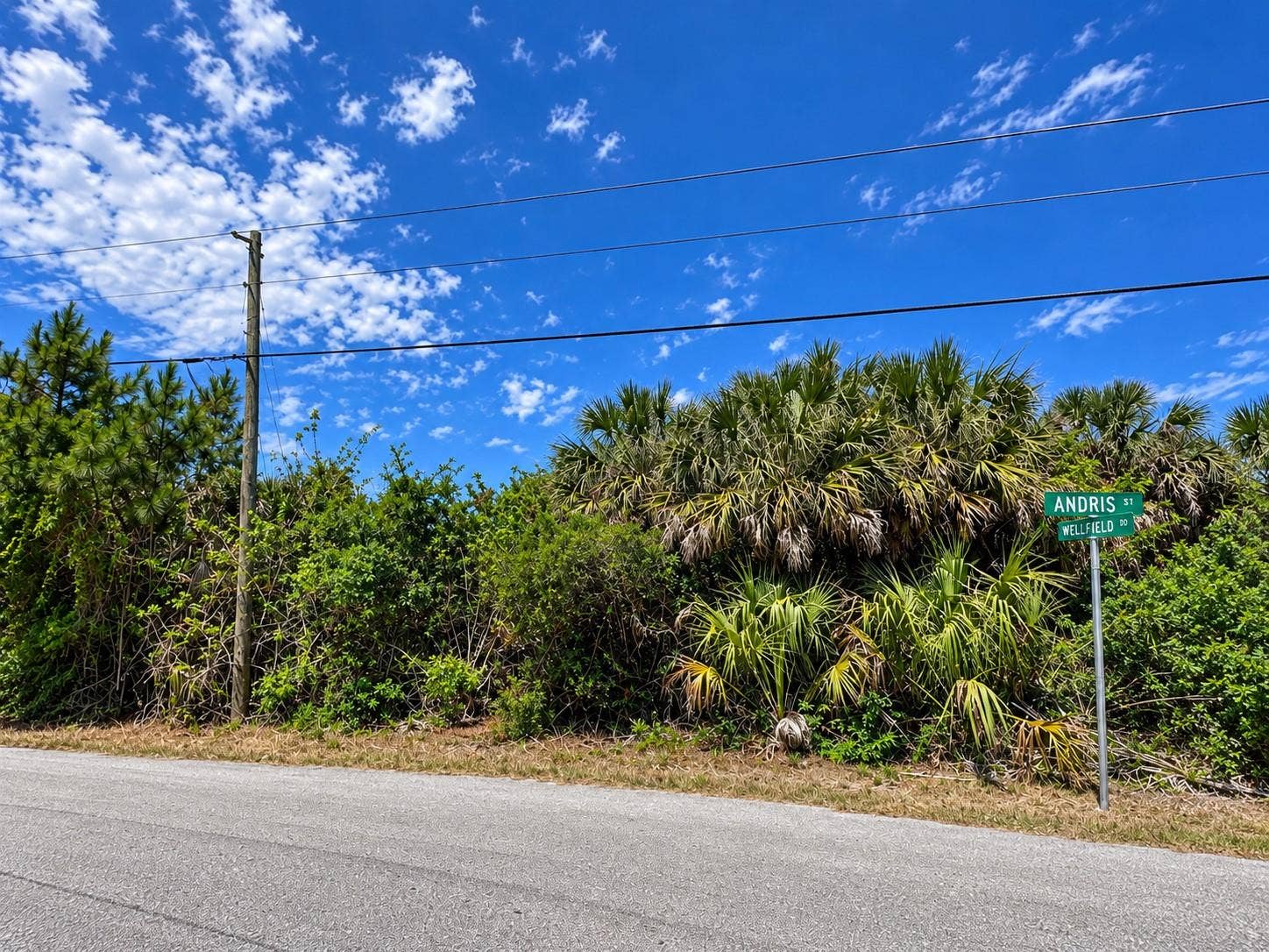 ANDRIS STREET, North Port, FL 34288