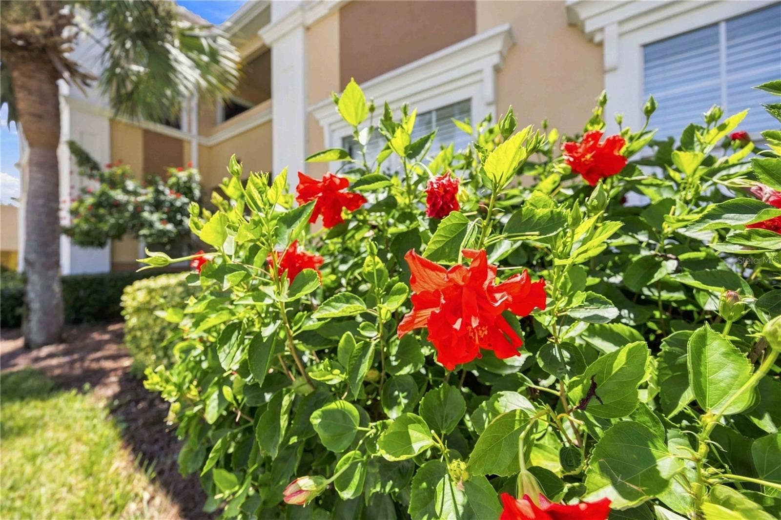 1195 VILLAGIO CIRCLE, #206, Sarasota, FL 34237