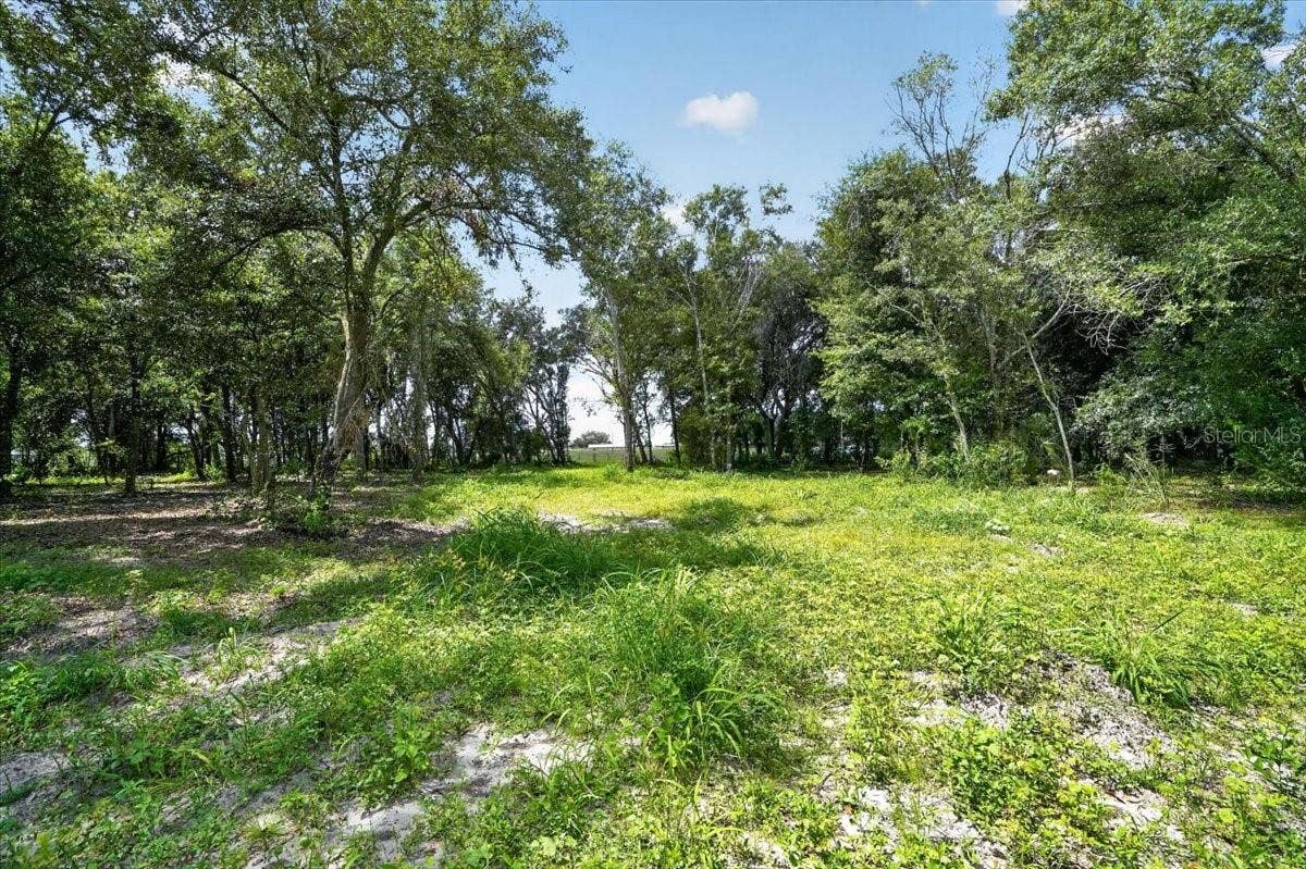 VERNA BETHANY ROAD, Myakka City, FL 34251 VERNA BETHANY ROAD, Myakka City, FL 34251