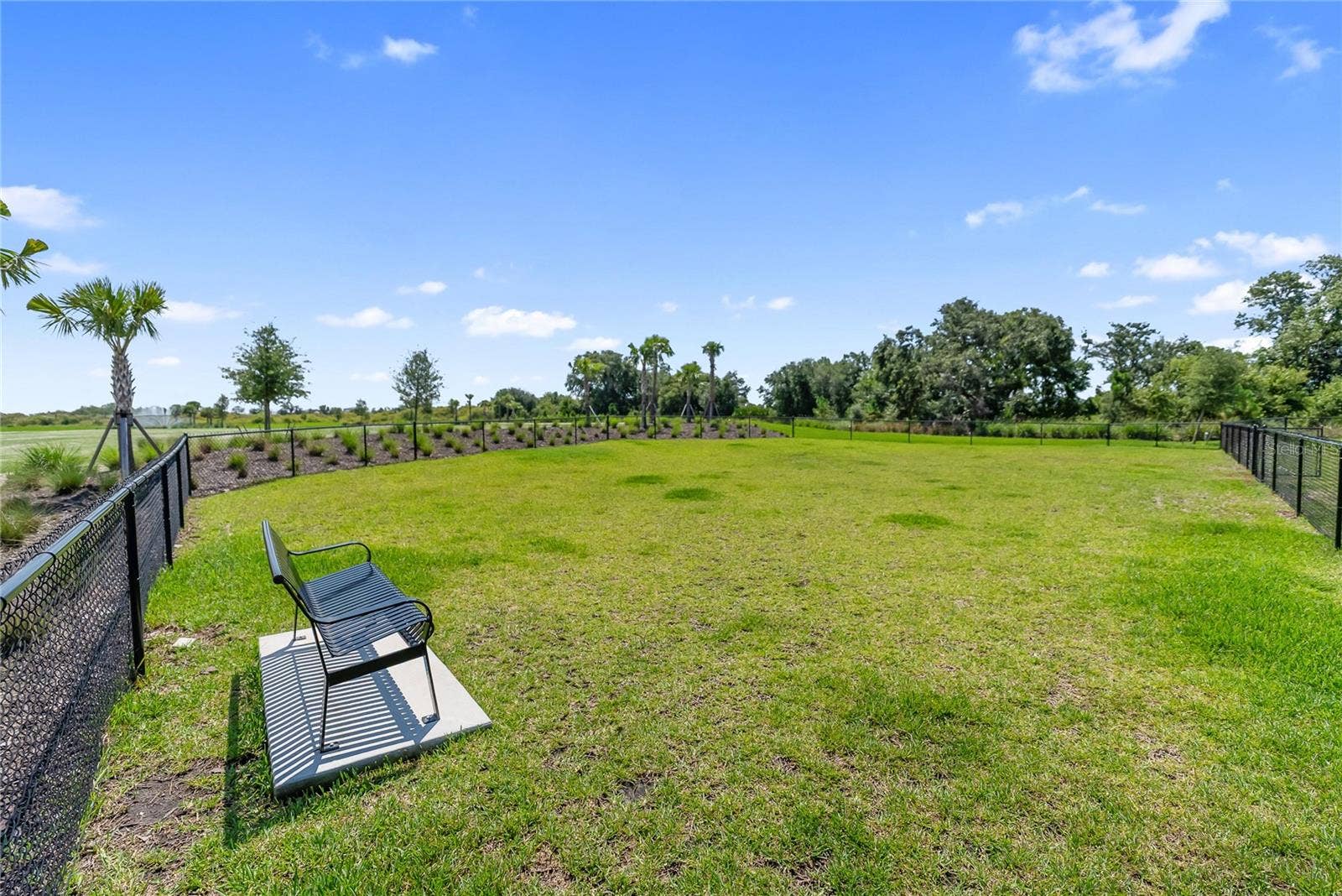Dog Park