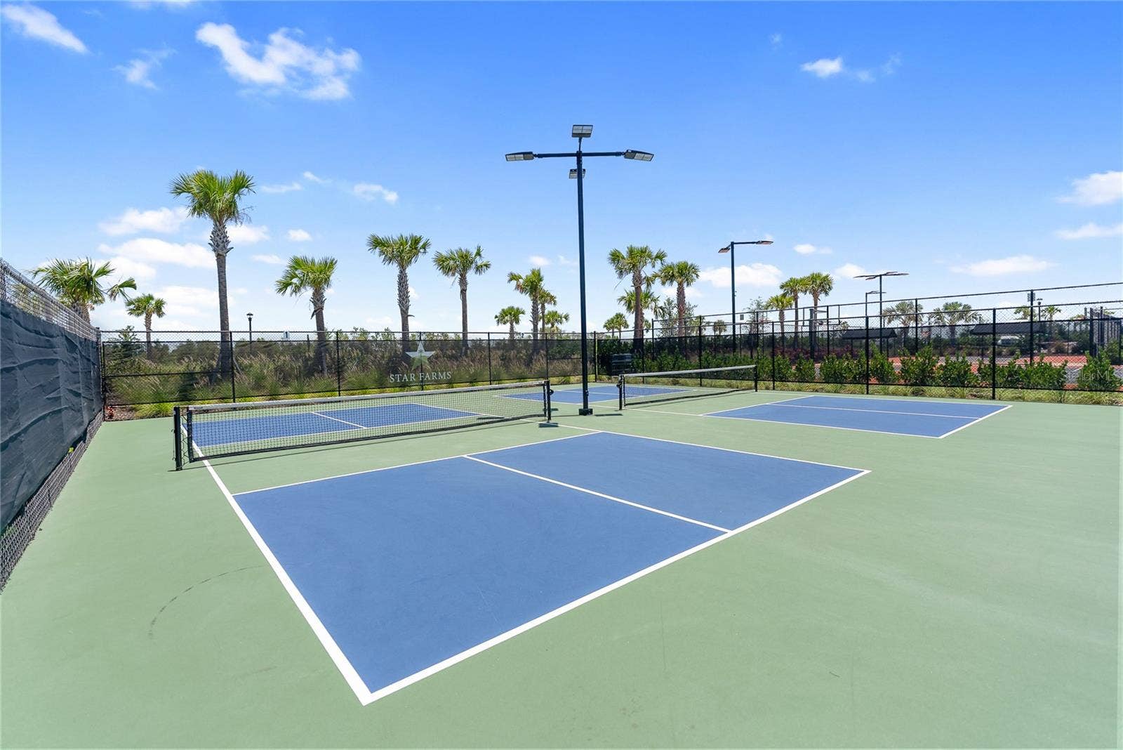 Pickleball courts