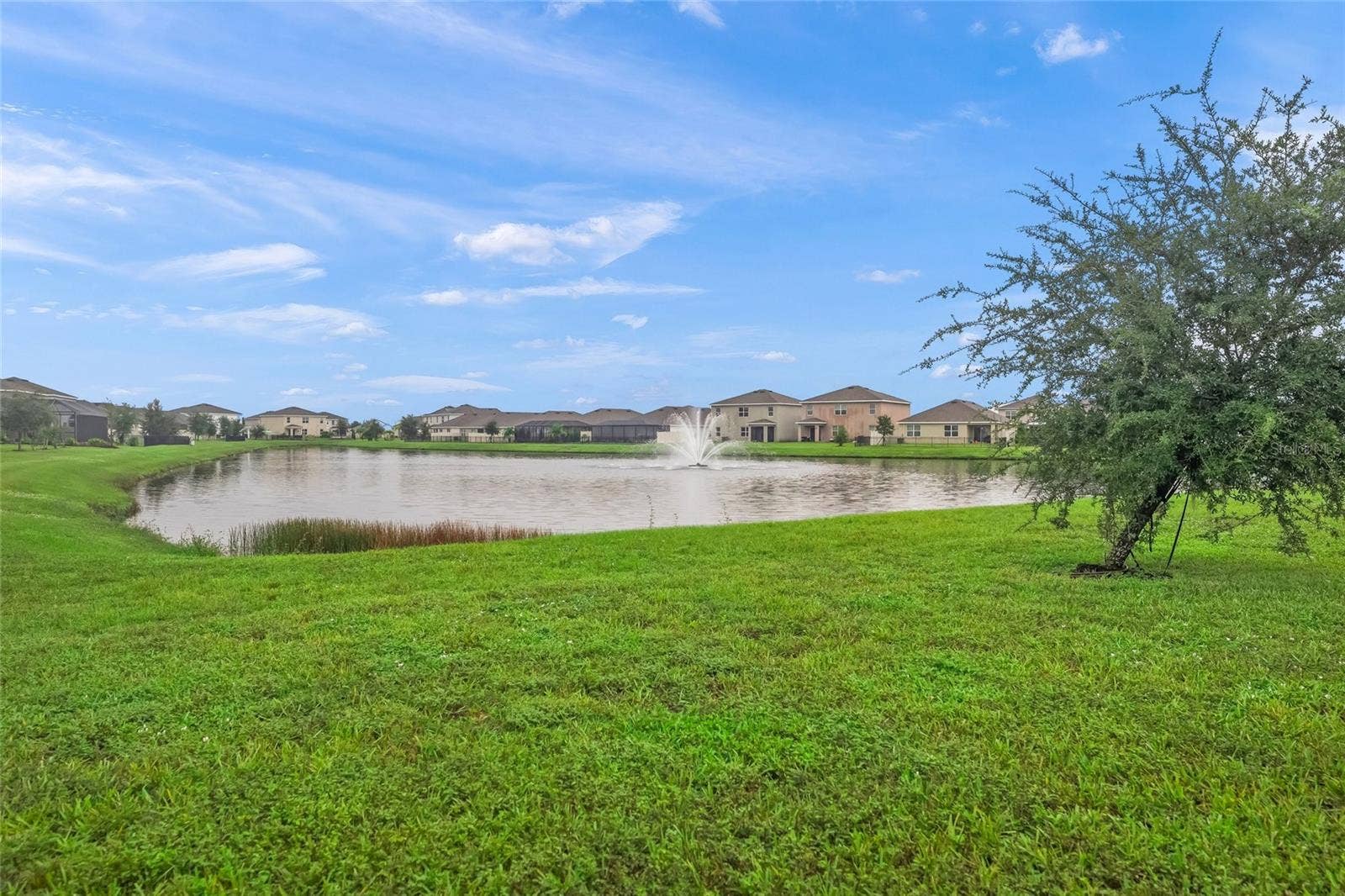 5215 MONTELENA COVE SW, Bradenton, FL 34211 Pond Views