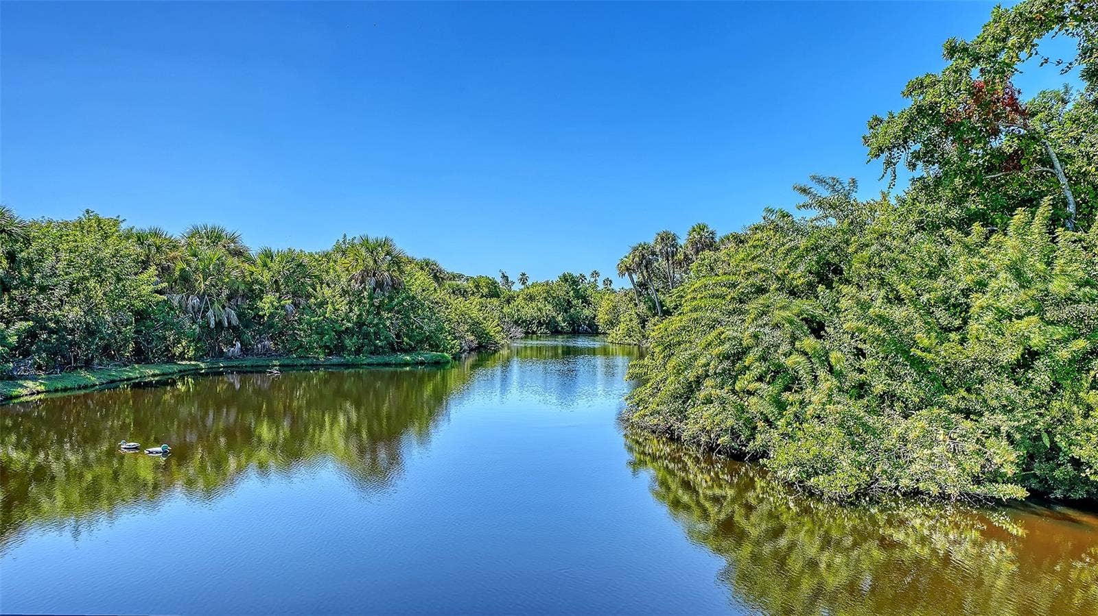 455 OAK POINT ROAD, Osprey, FL 34229 455 OAK POINT ROAD, Osprey, FL 34229
