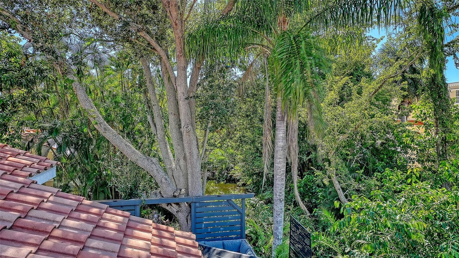 455 OAK POINT ROAD, Osprey, FL 34229 455 OAK POINT ROAD, Osprey, FL 34229