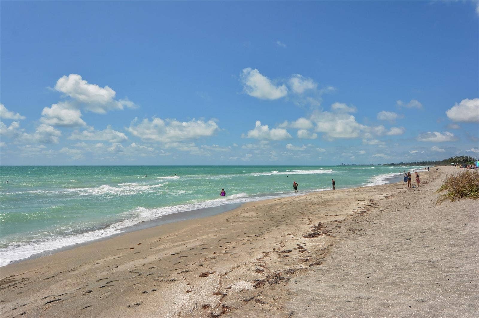 Turtle Beach