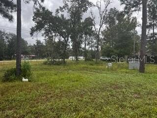 7492 MONONGAHELA AVENUE, Keystone Heights, FL 32656 7492 MONONGAHELA AVENUE, Keystone Heights, FL 32656