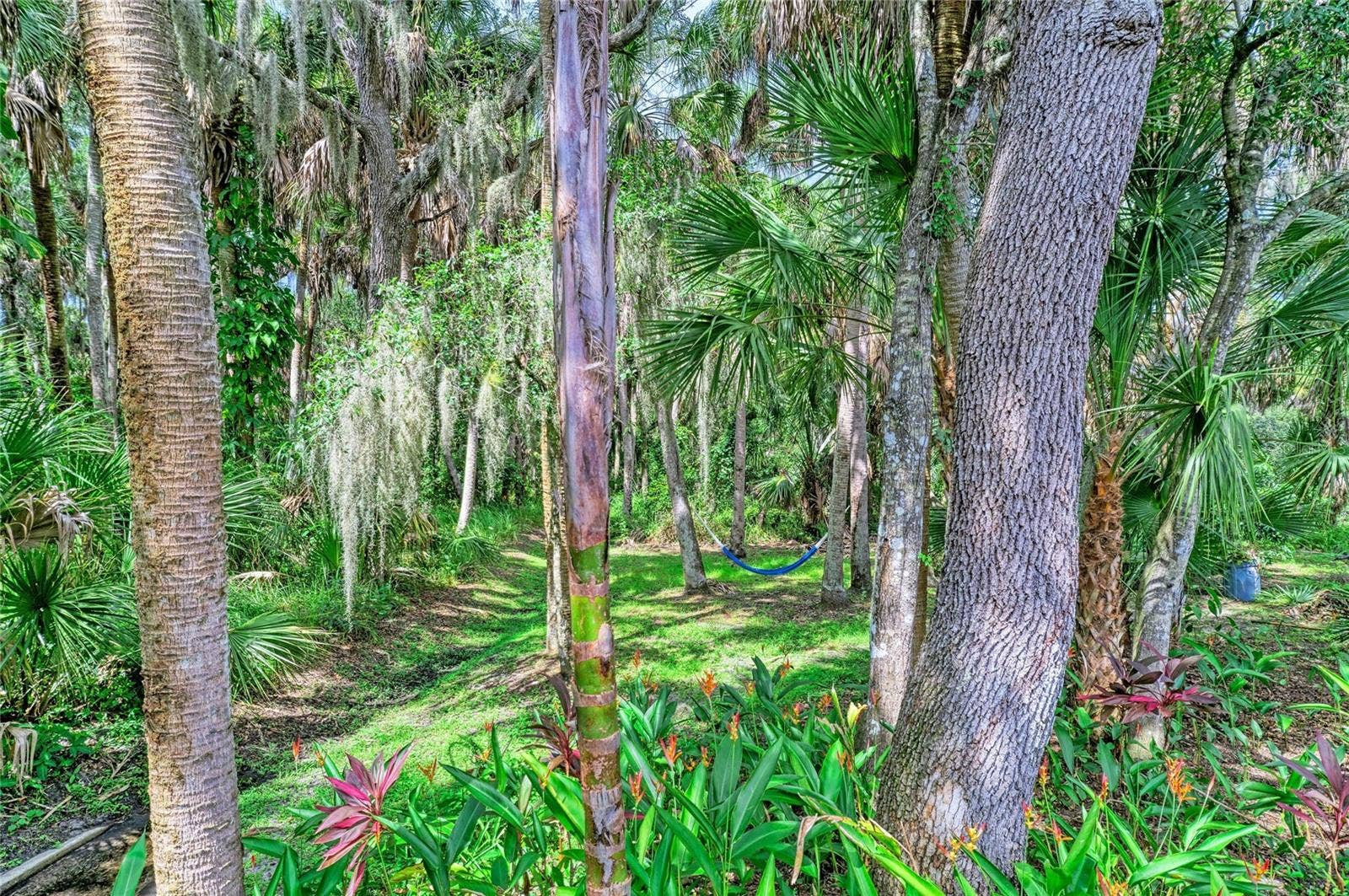 2403 ARBORETUM CIRCLE, #29, Sarasota, FL 34232 Watch the wildlife... birds, bunnies, turtles, etc.
