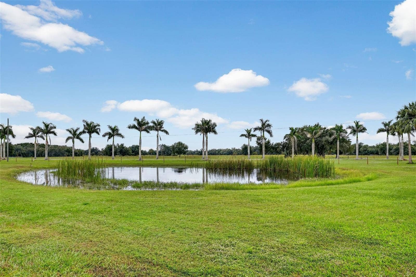 5420 SW COUNTY ROAD 769, Arcadia, FL 34269 5420 SW COUNTY ROAD 769, Arcadia, FL 34269