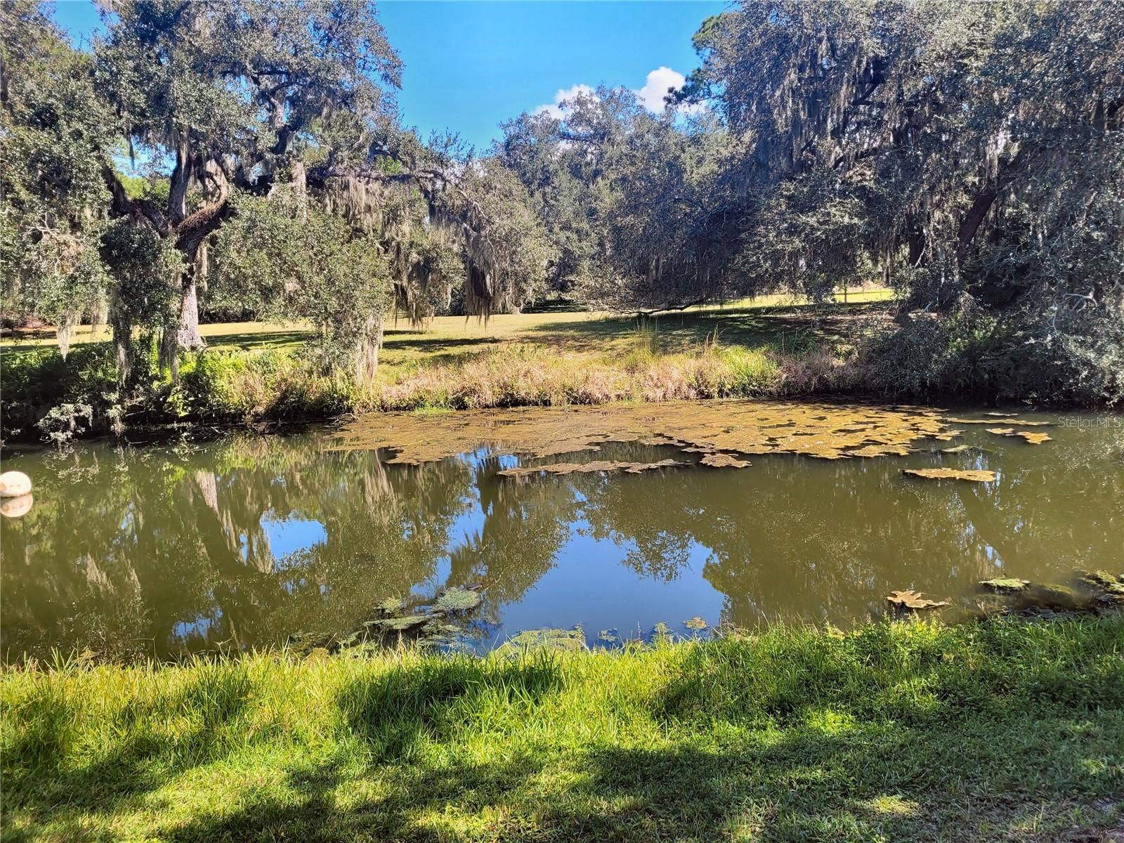 Lake