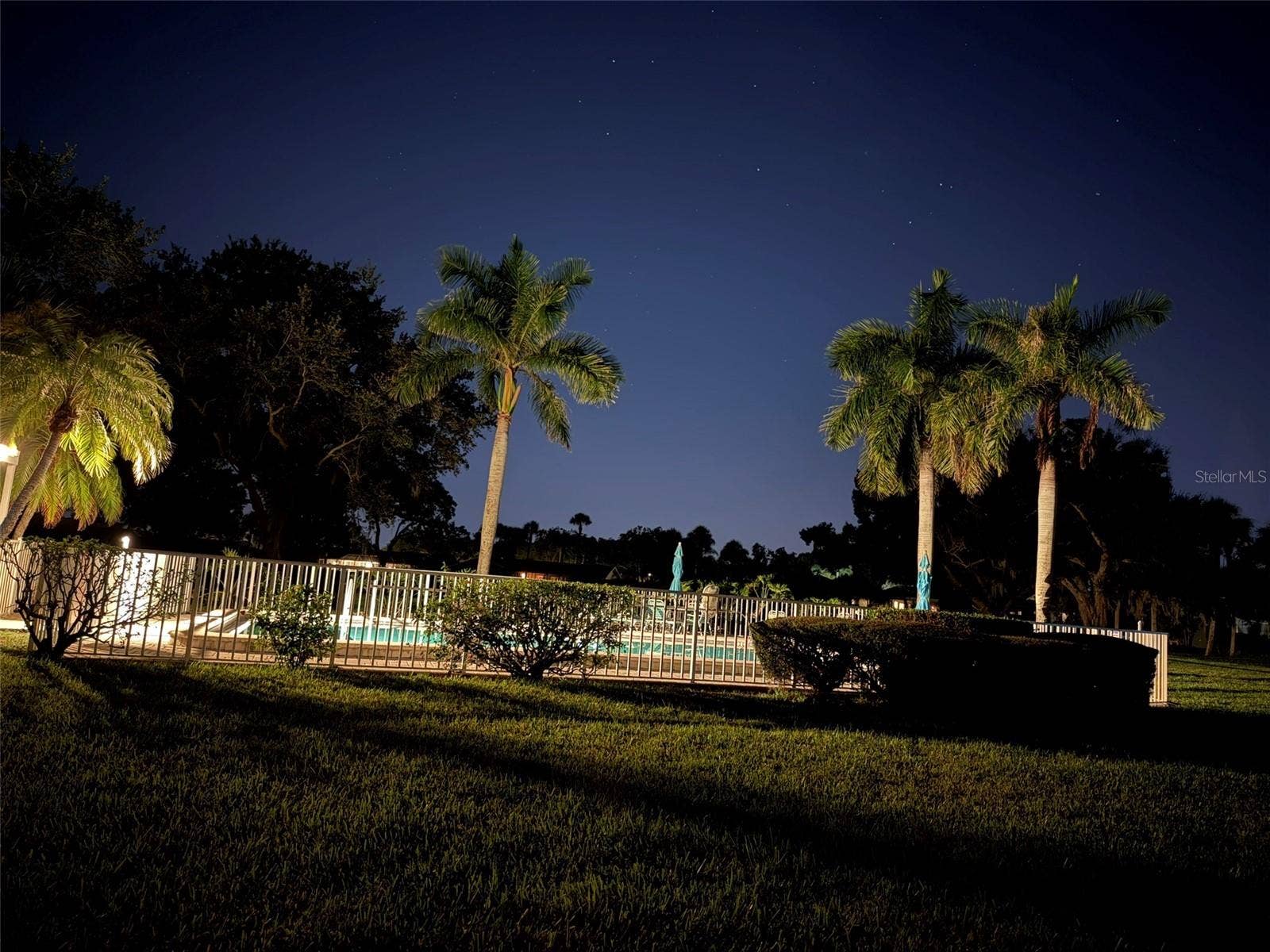2319 LAKESIDE MEWS, #B3, Sarasota, FL 34235 luminated night view from the livingroom