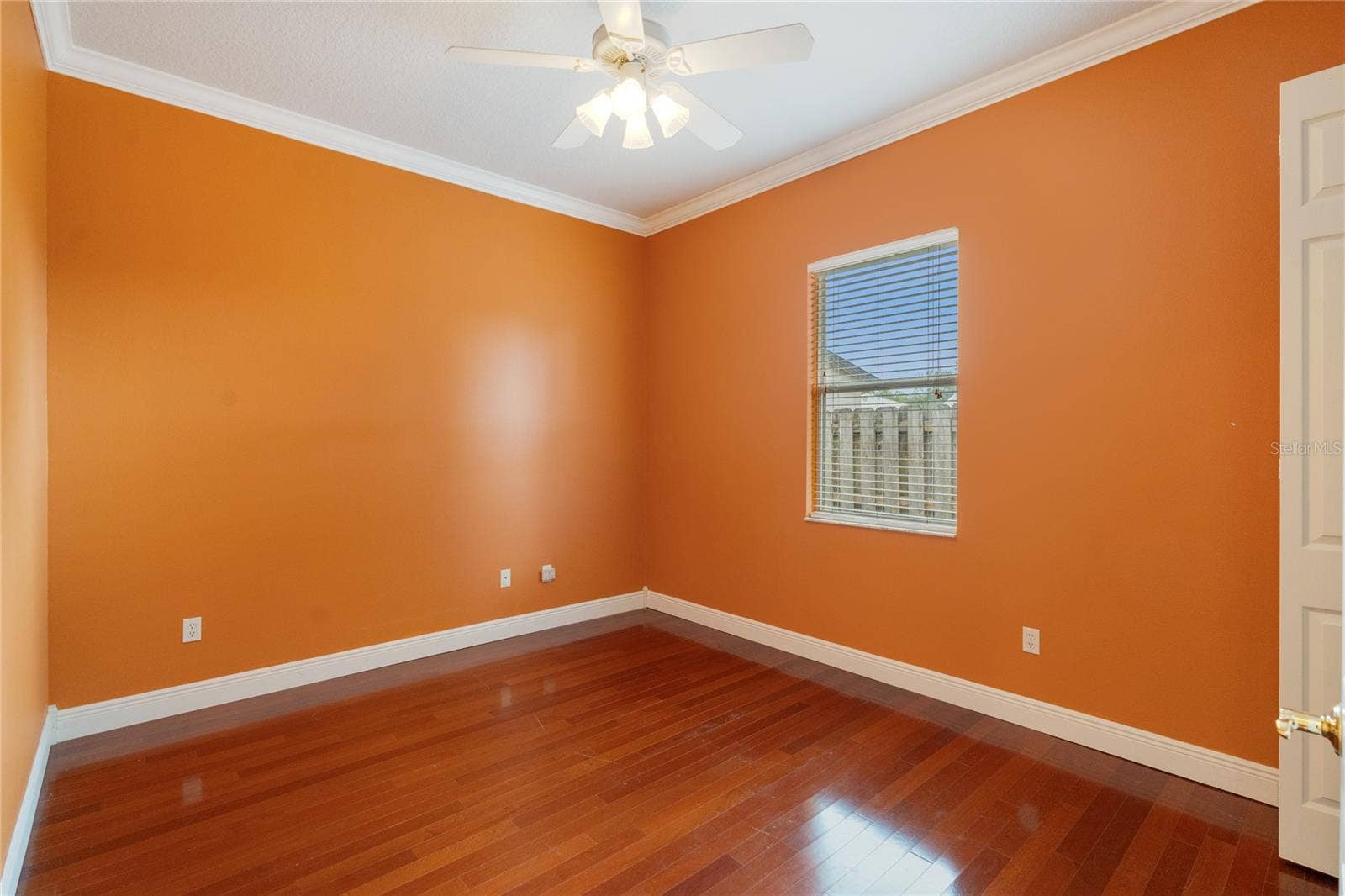 Current wall color