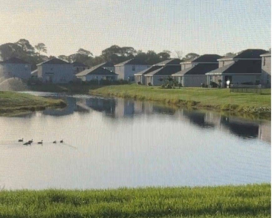 3121 ROCK SOUND STREET, Bradenton, FL 34208
