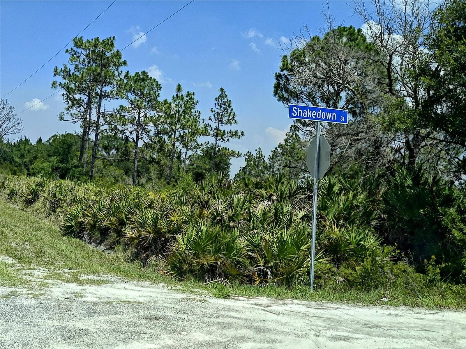 SHAKEDOWN STREET, St Cloud, FL 34773 SHAKEDOWN STREET, St Cloud, FL 34773