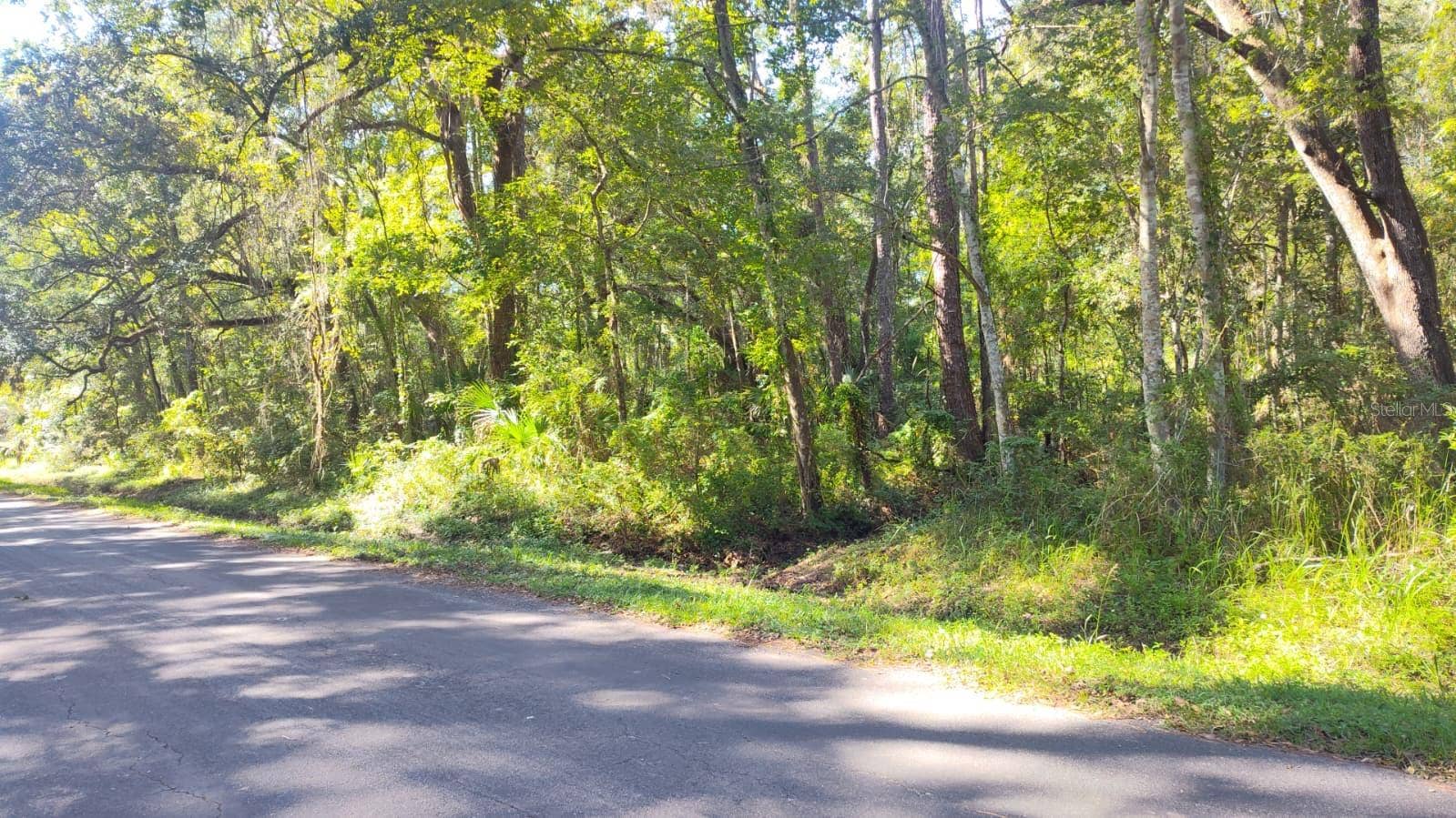 19289 CENTER STREET, Brooksville, FL 34601 19289 CENTER STREET, Brooksville, FL 34601