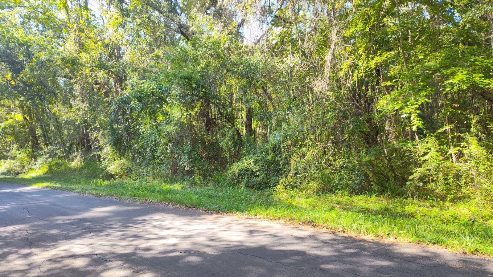 19289 CENTER STREET, Brooksville, FL 34601 19289 CENTER STREET, Brooksville, FL 34601