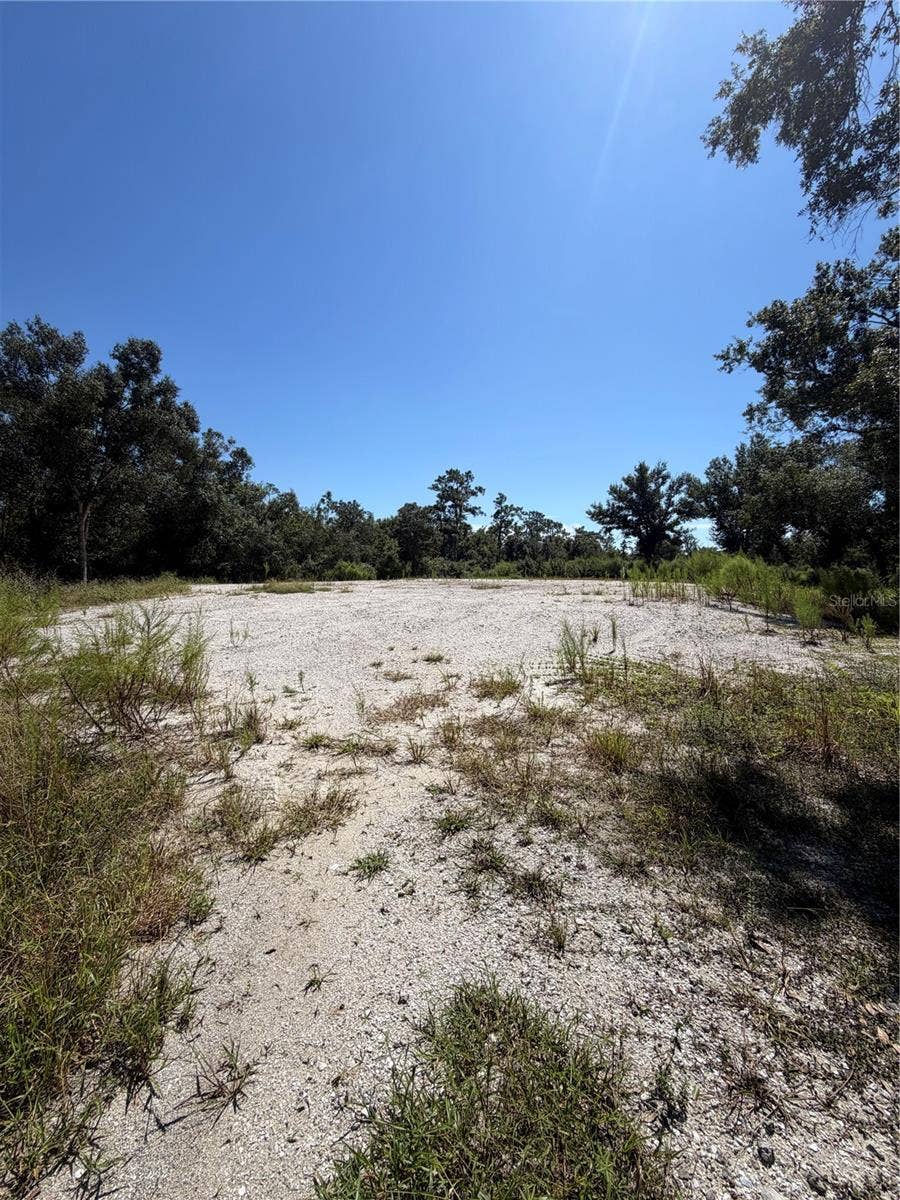1428 E CHARLES STREET, Arcadia, FL 34266